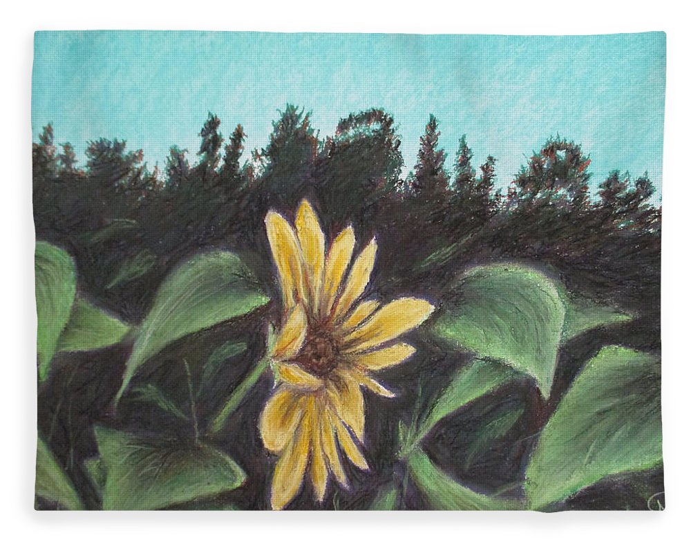 Flower Hour - Blanket