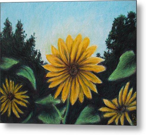 Flower of Sun - Metal Print