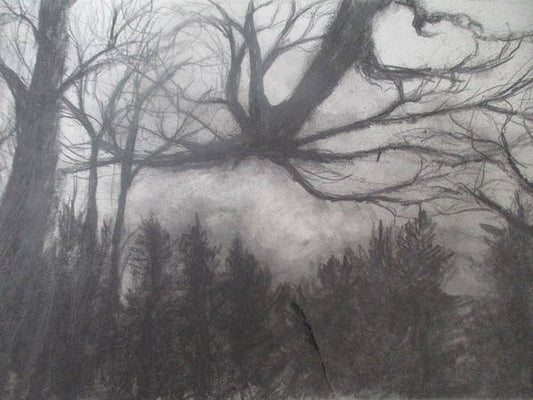 Forest Sky - Art Print