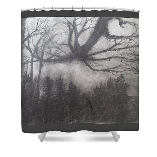 Forest Sky - Shower Curtain