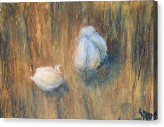 Garlic - Canvas Print