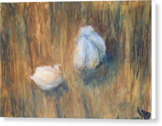 Garlic - Canvas Print