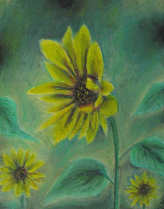 Hazing Sunflowers - Art Print