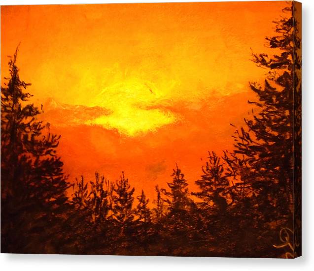 Kissed Pines - Canvas Print