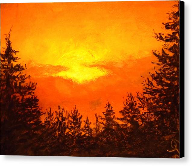 Kissed Pines - Canvas Print