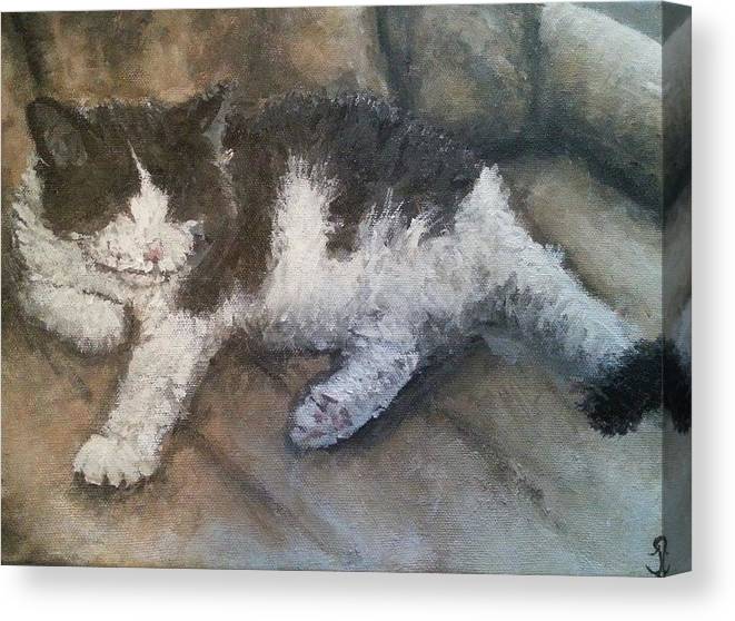 Kitty Kat - Canvas Print