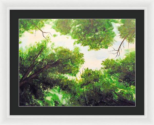 Leaf Lite ~ Framed Print