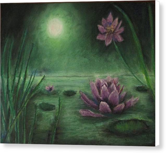 Lily Pond - Canvas Print