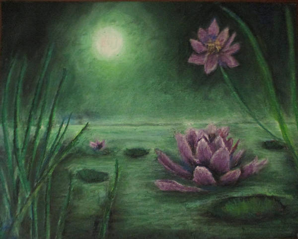 Lily Pond - Art Print