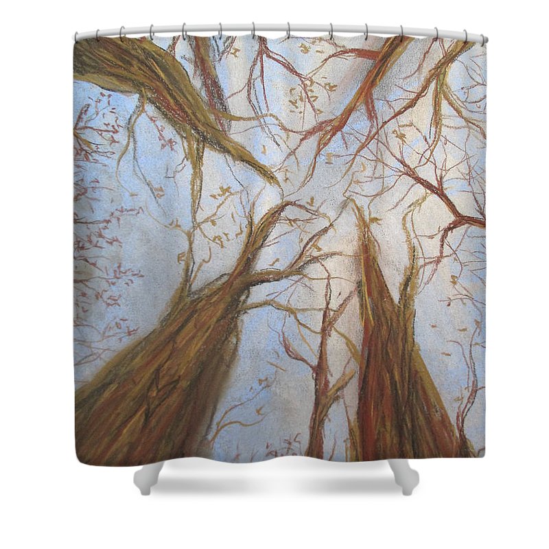 Ordinary - Shower Curtain