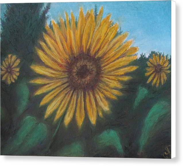 Petal of Yellows - Canvas Print