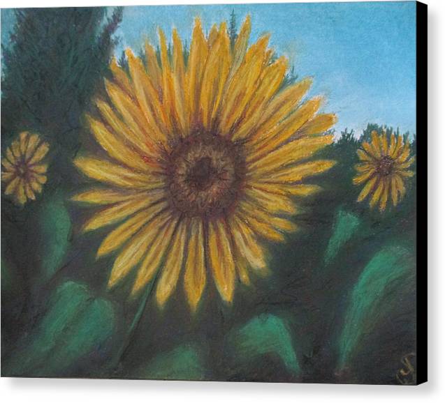 Petal of Yellows - Canvas Print