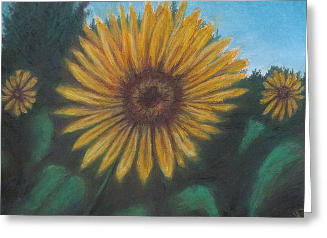 Petal of Yellows - Greeting Card