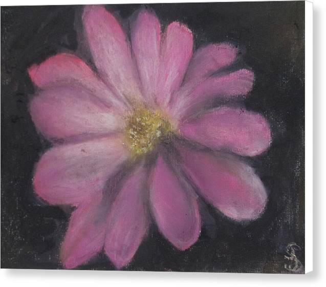 Pink Flower - Canvas Print