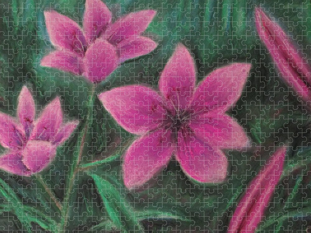 Pink Lilies - Puzzle