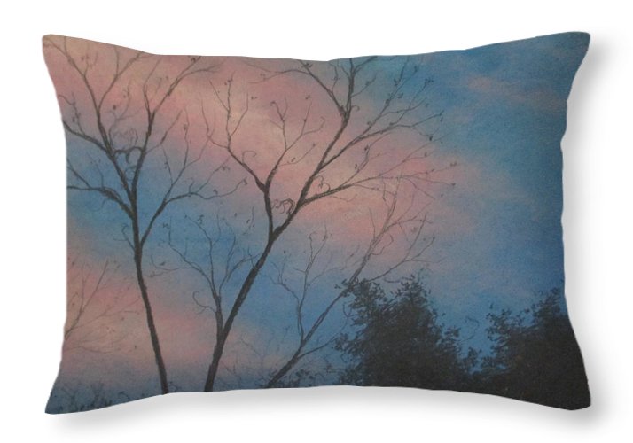 Precious Skies - Throw Pillow