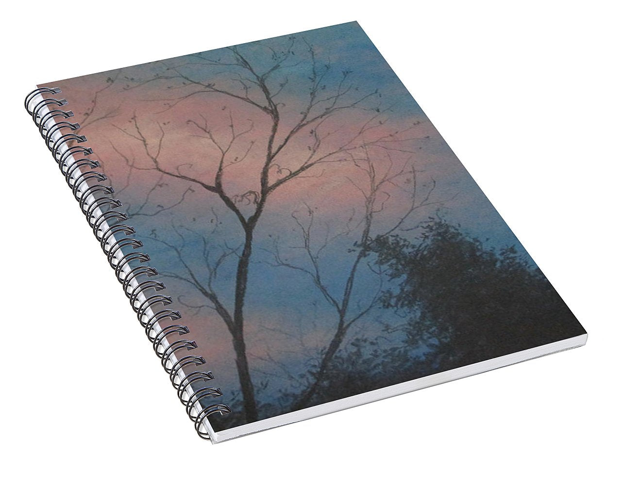 Precious Skies - Spiral Notebook