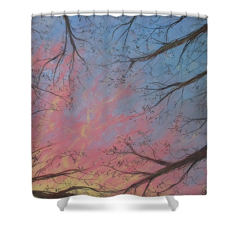 Screen - Shower Curtain