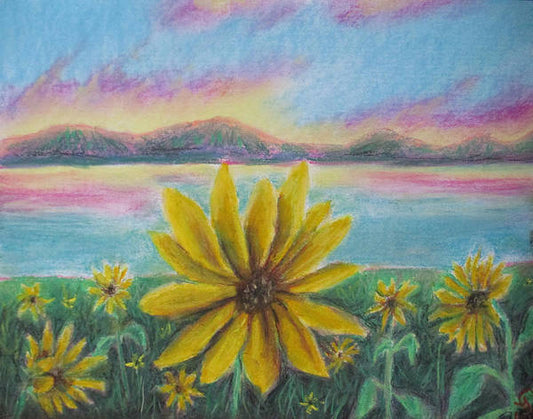 Setting Sunflower - Art Print