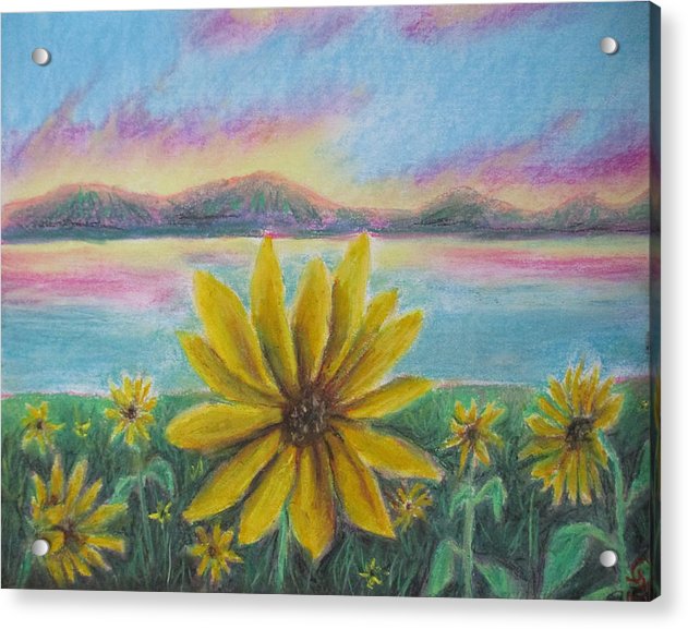 Setting Sunflower - Acrylic Print