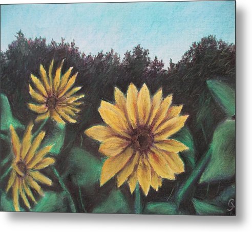 Sunflower Days - Metal Print