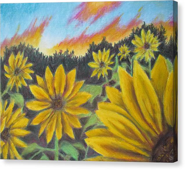 Sunflower Hue - Canvas Print