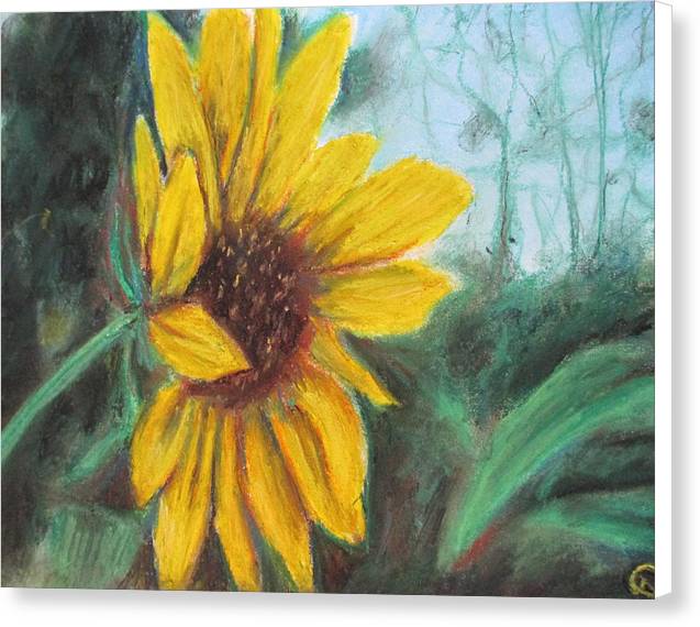 Sunflower View - Canvas Print