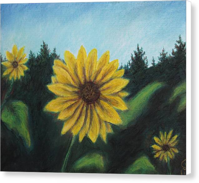 Sunny Sun Sun Flower - Canvas Print