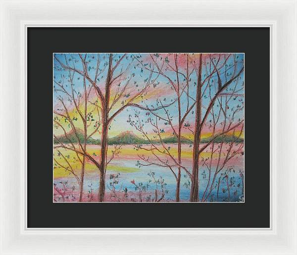 Sunny Woodlet - Framed Print