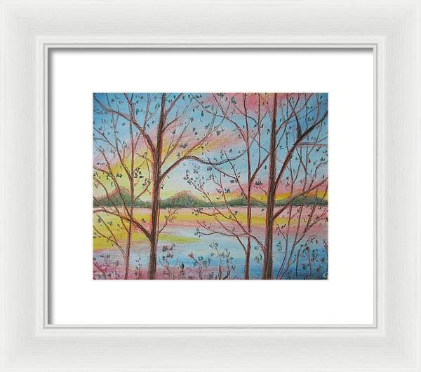 Sunny Woodlet - Framed Print