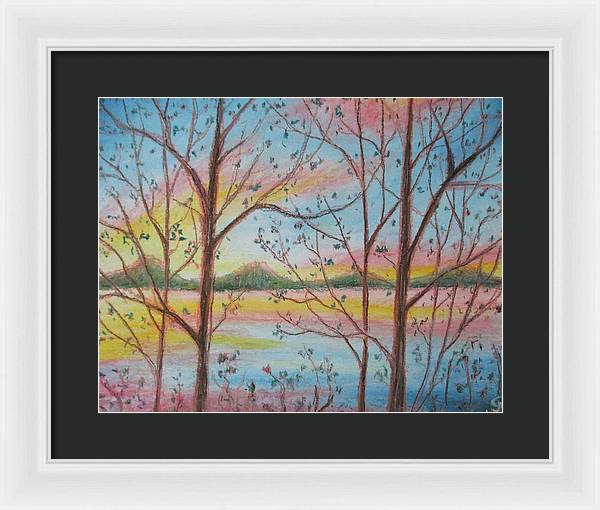 Sunny Woodlet - Framed Print