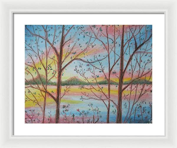 Sunny Woodlet - Framed Print