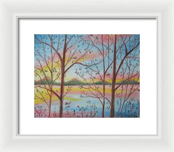 Sunny Woodlet - Framed Print