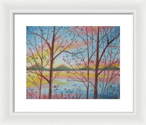 Sunny Woodlet - Framed Print