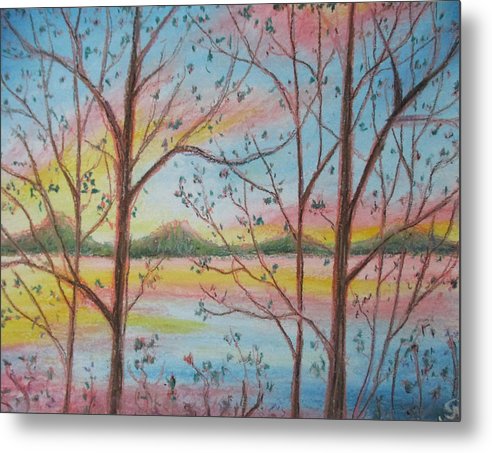 Sunny Woodlet - Metal Print