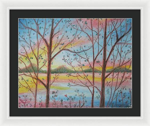 Sunny Woodlet - Framed Print