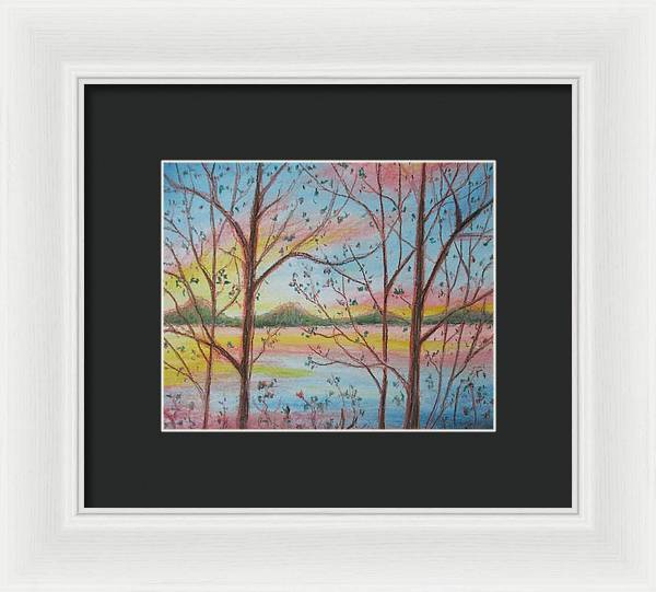 Sunny Woodlet - Framed Print