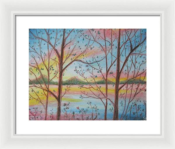 Sunny Woodlet - Framed Print