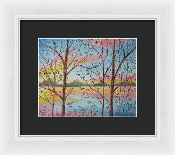 Sunny Woodlet - Framed Print