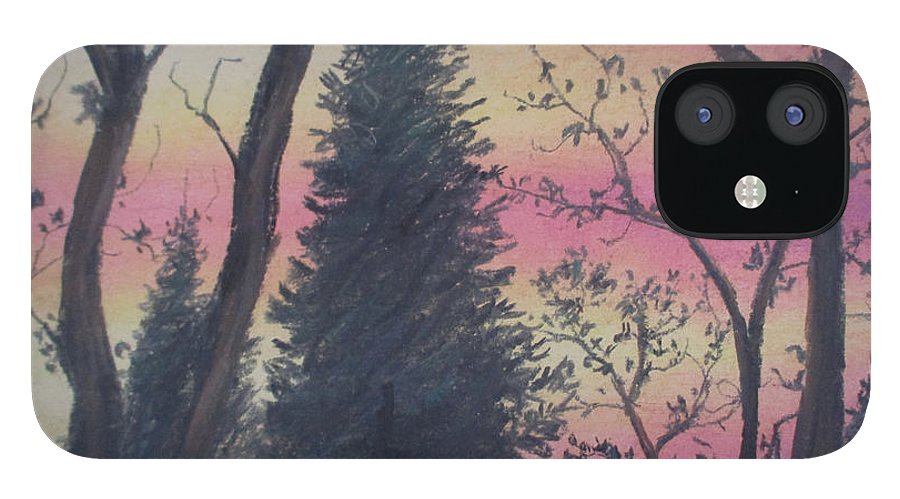 Sunsets Lament - Phone Case