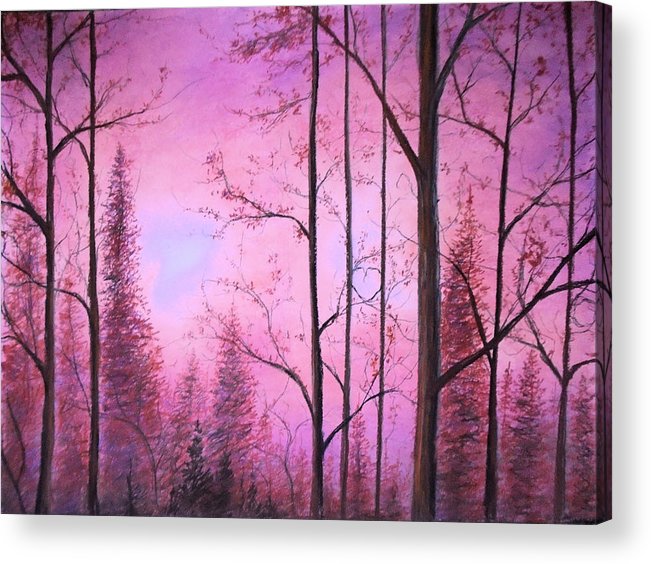 Woods - Metal Print